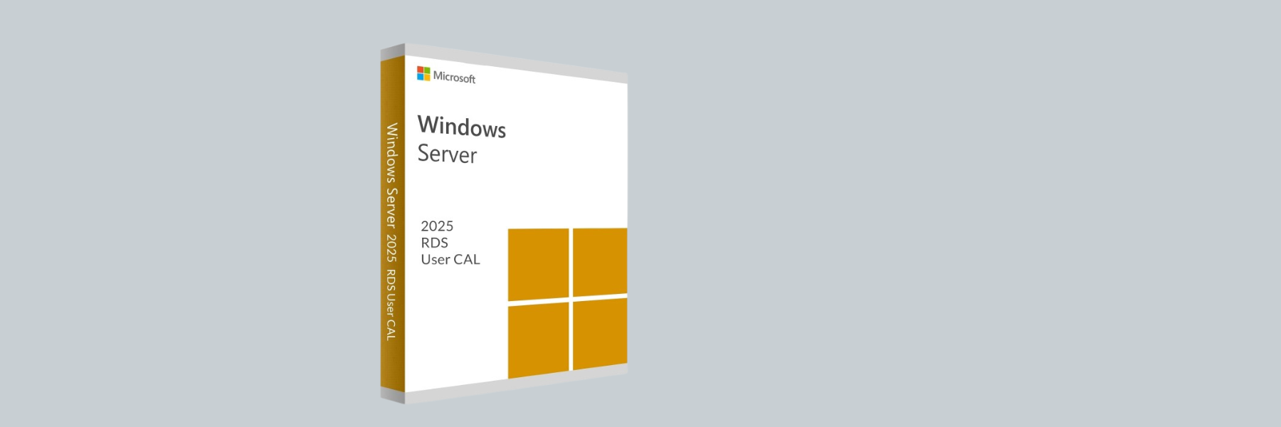 Windows Server 2025 Remote Desktop Services – Sichere & Effiziente Remote-Arbeit