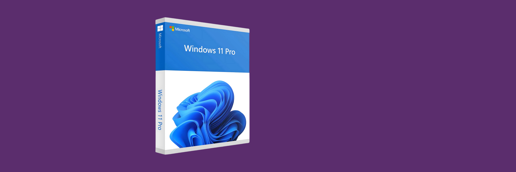 Windows 11 günstig kaufen – Schnell, sicher & leistungsstark